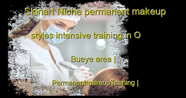 Skinart Niche permanent makeup styles intensive training in O Bueye area | PermanentmakeupTraining | PermanentmakeupClasses | SkinartTraining-Spain